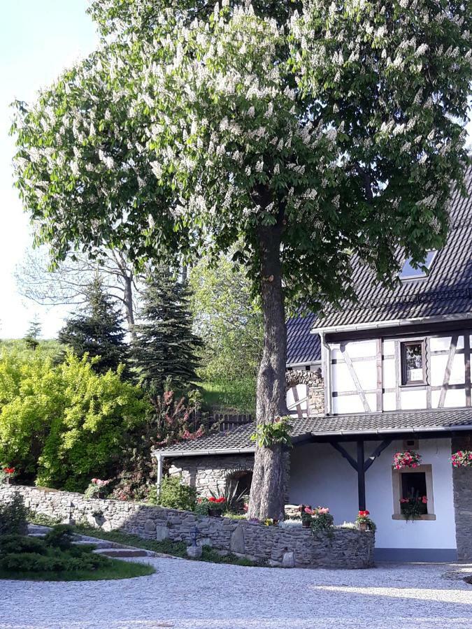 Villa Agroturystyka Lysa Gora Jelenia Góra Exterior foto